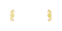 https://casinorgy.com/casino/casino-cruise.png